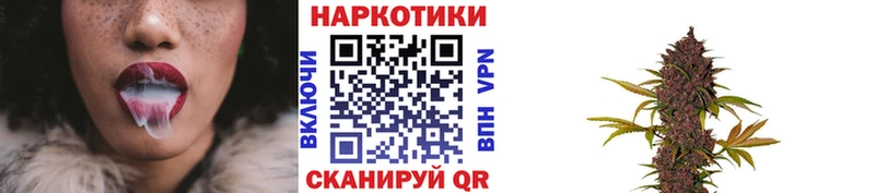 Купить Сретенск Псилоцибиновые грибы  Alpha PVP  Гашиш  Бошки Шишки 