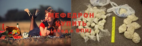 индика Аркадак
