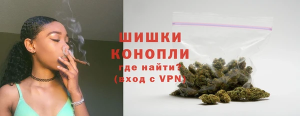 хмурый Арсеньев