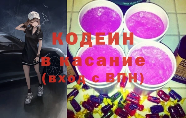 индика Аркадак