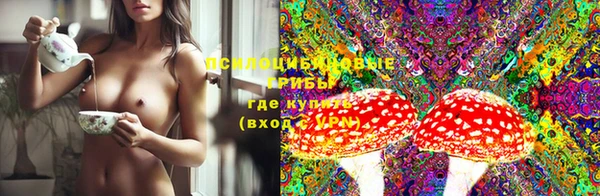 индика Аркадак