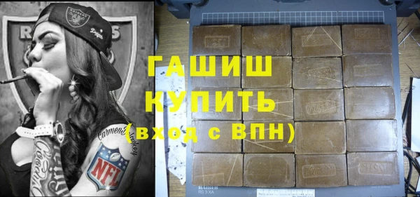 хмурый Арсеньев