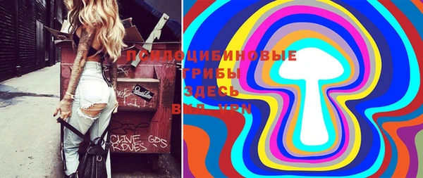 хмурый Арсеньев