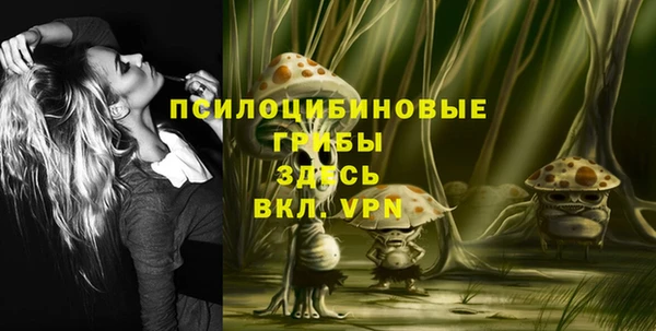 индика Аркадак