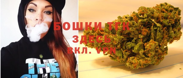 хмурый Арсеньев