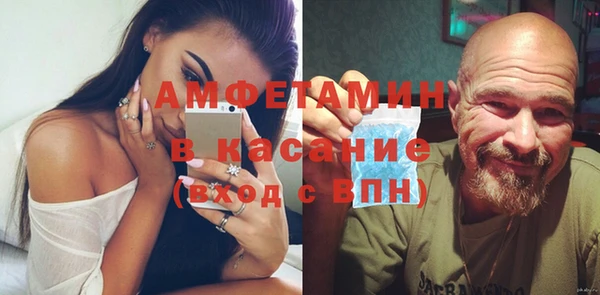 индика Аркадак